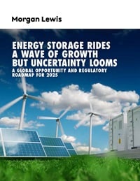 Energy Storage Rides a Wave of Growth but Uncertainty Looms